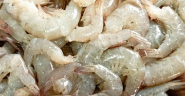 হেডলেস ভেনামি চিংড়ি