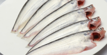 পাবদা রেডি টু কুক