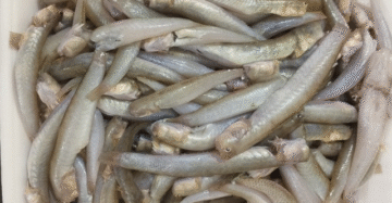 ডগরী মাছ রেডি টু কুক