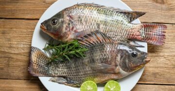 দেশি ন্যাচারাল তেলাপিয়া রেডি টু কুক